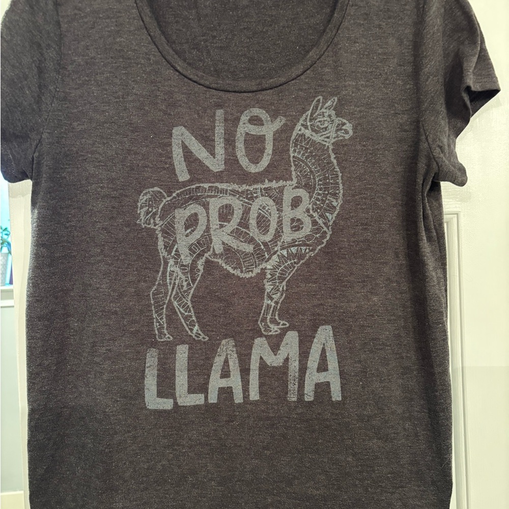 Gray Graphic Tee with Llama Print